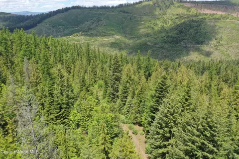 690 High Mountain Dr, Fernwood, ID 83830