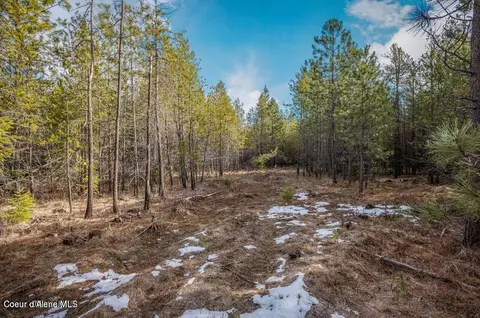 11 E Ac E Son Shine Way, Athol, ID 83801 photo 11