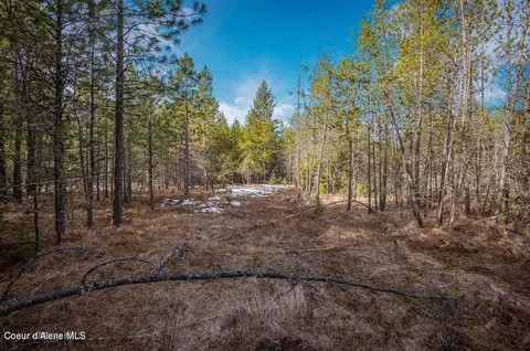 11 E Ac E Son Shine Way, Athol, ID 83801 photo 3