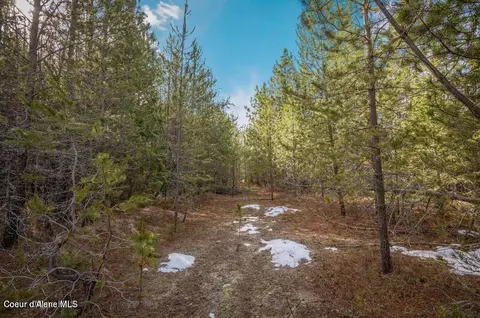 11 E Ac E Son Shine Way, Athol, ID 83801 photo 14