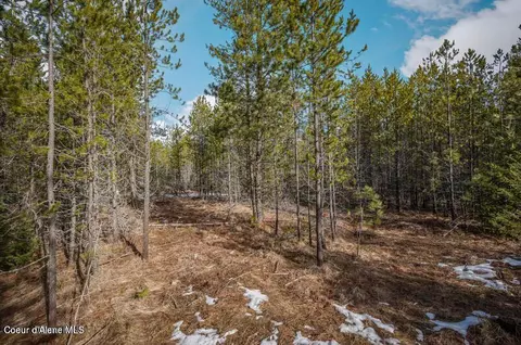 11 E Ac E Son Shine Way, Athol, ID 83801 photo 10