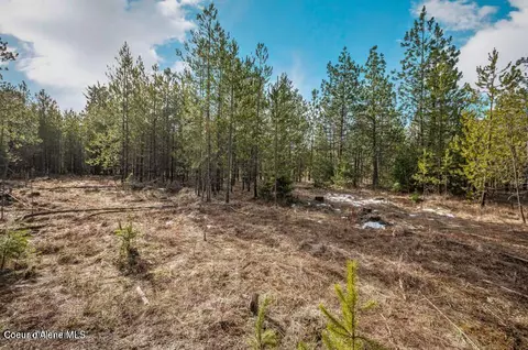 11 E Ac E Son Shine Way, Athol, ID 83801 photo 5