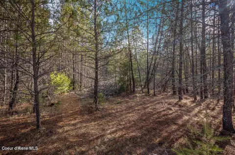11 E Ac E Son Shine Way, Athol, ID 83801 photo 12