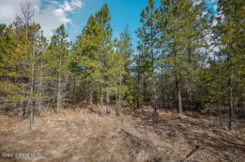 11 E Ac E Son Shine Way, Athol, ID 83801 photo 4