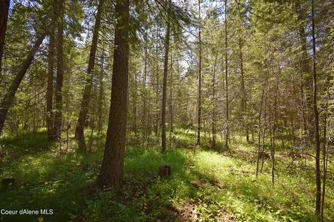 lot22 Syringa Dr, Bonners Ferry, ID 83805