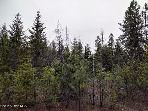 L1b104 W New Hampshire Street, Spirit Lake, ID 83869