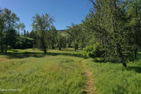Other - 242 Skyline Loop Rd, Kooskia, ID 83539 photo 18 of 26