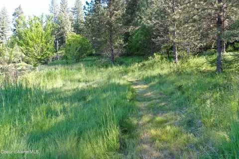 Other - 242 Skyline Loop Rd, Kooskia, ID 83539 photo 15 of 26