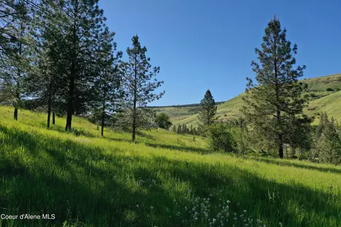 Exterior - 242 Skyline Loop Rd, Kooskia, ID 83539 photo 2 of 7