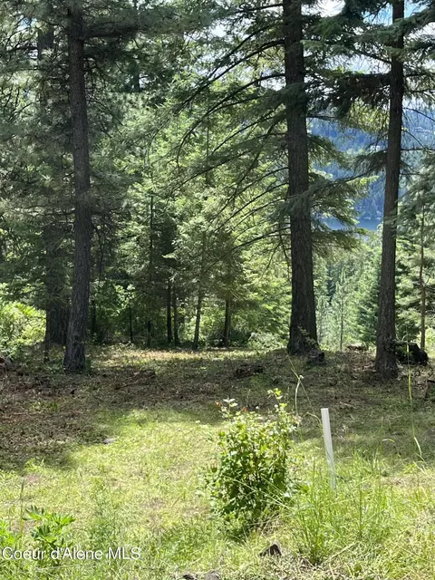 Nna S Edgewater Dr., Harrison, ID 83833 photo 18