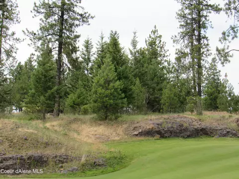 6546 S Jackleg Trl, Harrison, ID 83833