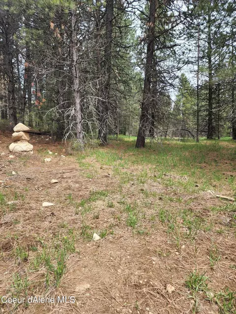 4 Hulett Hills Drive, Sandpoint, ID 83864