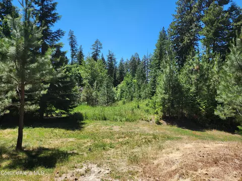 Nna Garfield Ave, Harrison, ID 83833