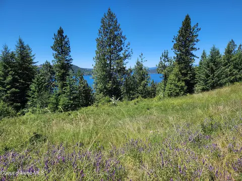 Lt 12 Blk2 Empty Nest Ln, Harrison, ID 83833