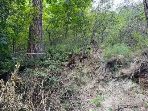 Nka .22 Acres, Harrison, ID 83833 photo 3