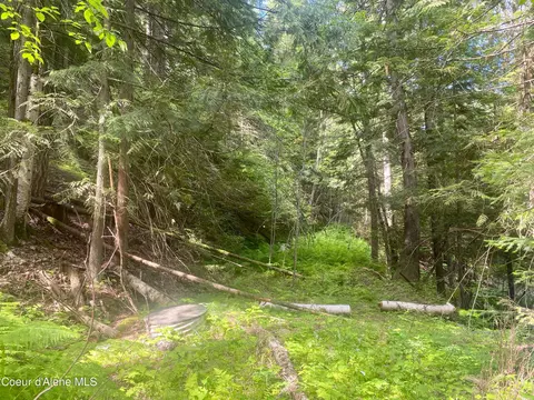 Exterior - 49 Whodathunkit Rd, Sandpoint, ID 83864 photo 9 of 23