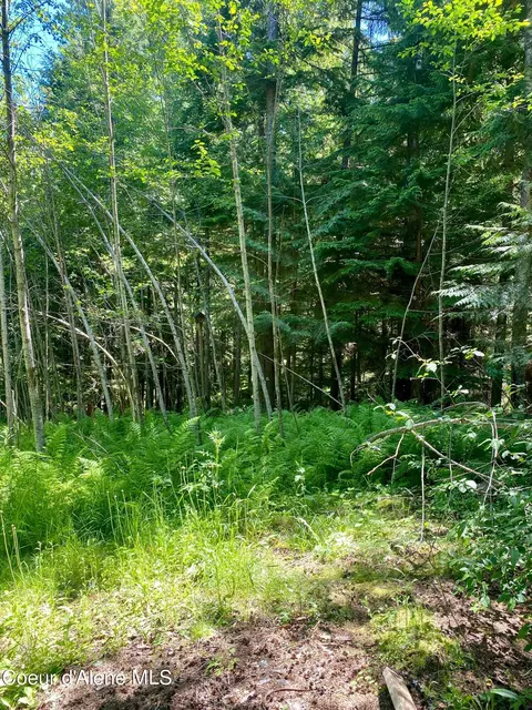 Exterior - 49 Whodathunkit Rd, Sandpoint, ID 83864 photo 13 of 23