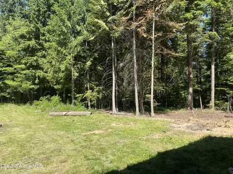 Exterior - 49 Whodathunkit Rd, Sandpoint, ID 83864 photo 16 of 23