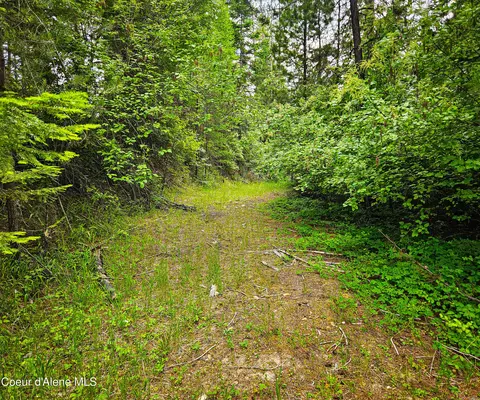 821 Willow Loop, Fernwood, ID 83830
