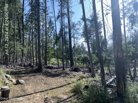 Other - 3080 Talache Rd, Sagle, ID 83860 photo 3 of 12