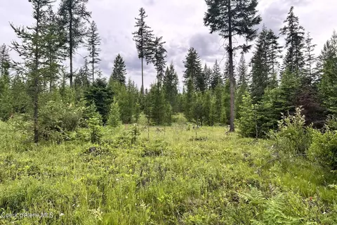 lot4 Blk2 Leonard Loop, Athol, ID 83801 photo 6