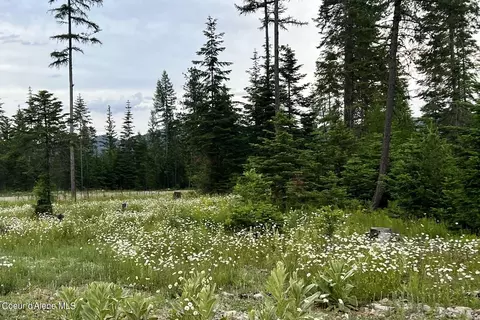 lot4 Blk2 Leonard Loop, Athol, ID 83801 photo 5