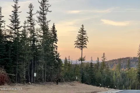 lot4 Blk2 Leonard Loop, Athol, ID 83801 photo 17