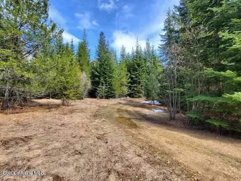 Nka Living Springs Rd, Priest River, ID 83856
