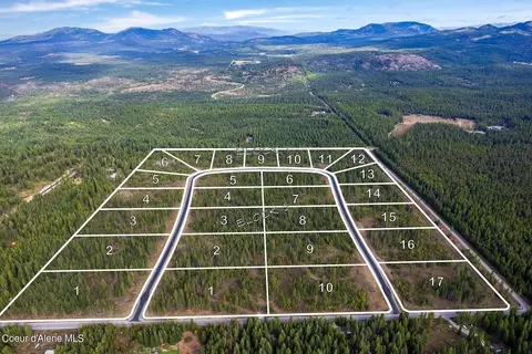 Lot9 Blk2 Leonard Loop, Athol, ID 83801 photo 12