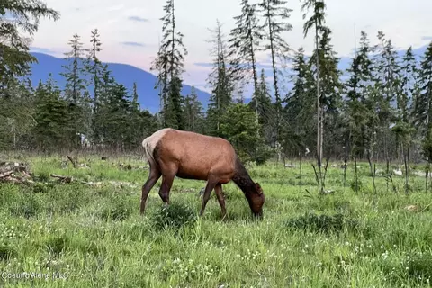 Lot9 Blk2 Leonard Loop, Athol, ID 83801 photo 3