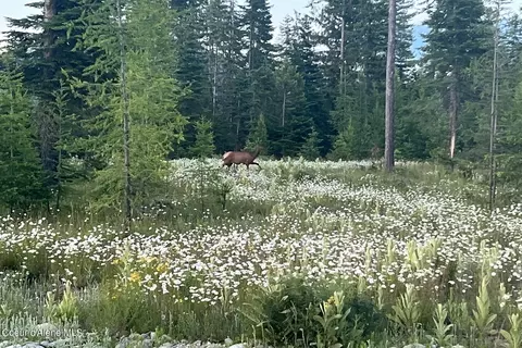 Lot9 Blk2 Leonard Loop, Athol, ID 83801 photo 10