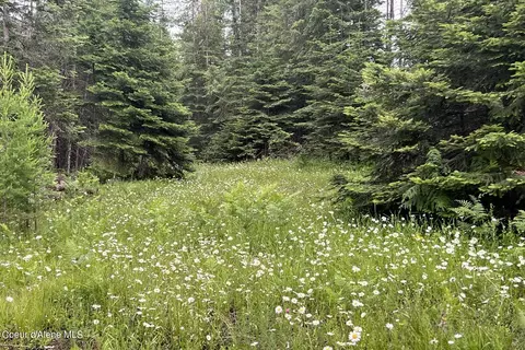 Lot9 Blk2 Leonard Loop, Athol, ID 83801 photo 9