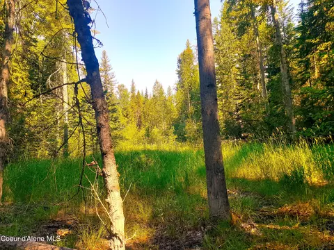 31 32 Forty Niner, Bonners Ferry, ID 83805