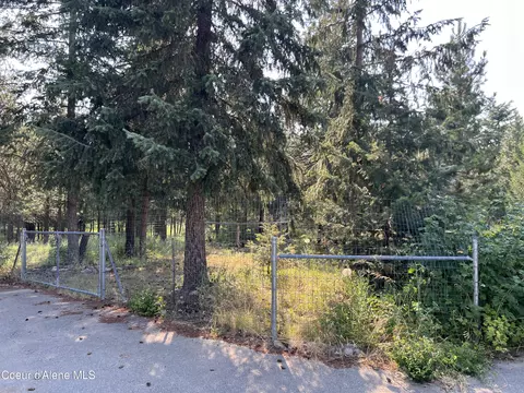 32678 Red Dell Lp Loop, Athol, ID 83801 photo 7
