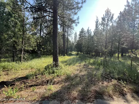 32678 Red Dell Lp Loop, Athol, ID 83801 photo 4