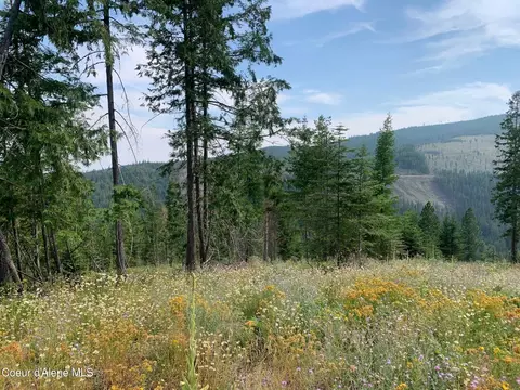 Nka Mystery Moose Lane, Priest River, ID 83856