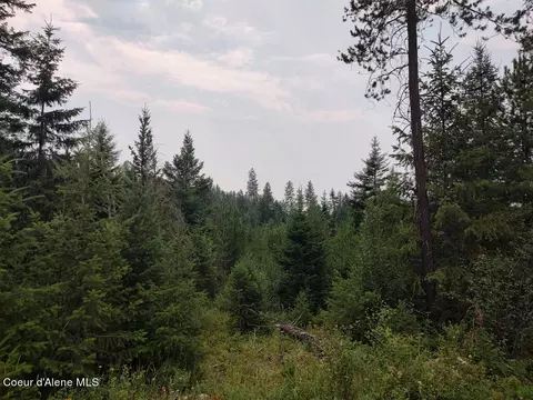 L3 Mara Meadows, Athol, ID 83801 photo 24
