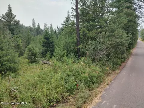 L3 Mara Meadows, Athol, ID 83801 photo 25