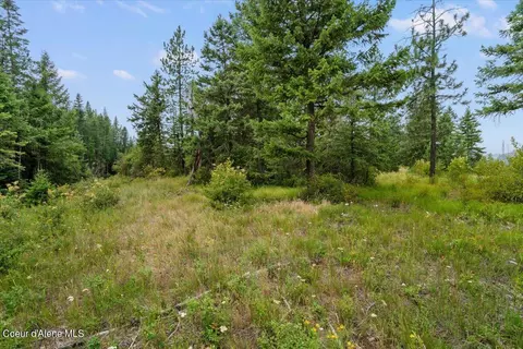 L3 Mara Meadows, Athol, ID 83801 photo 12
