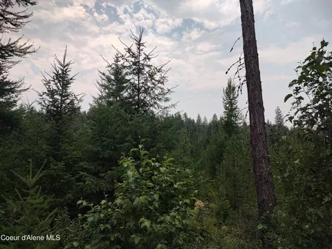 L3 Mara Meadows, Athol, ID 83801 photo 9