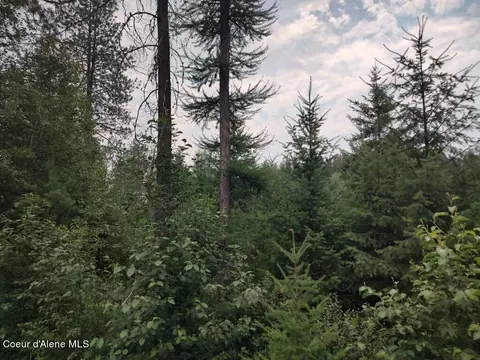 L3 Mara Meadows, Athol, ID 83801 photo 16