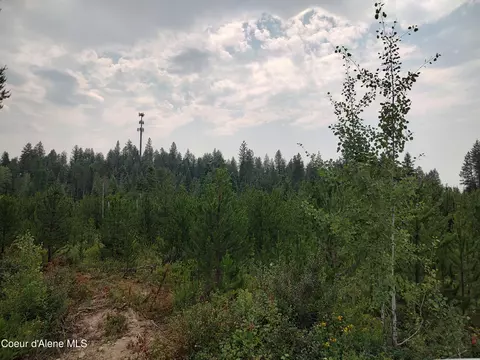 L3 Mara Meadows, Athol, ID 83801 photo 4