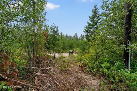 L3 Mara Meadows, Athol, ID 83801 photo 11