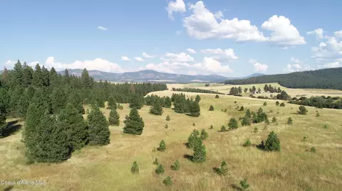 Lot 3 Vine Maple, De Smet, ID 83824
