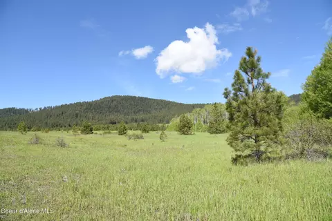 Lot 12 Vine Maple Rd, De Smet, ID 83824
