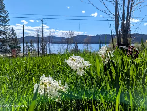 1677 E Russell Rd, Harrison, ID 83833 photo 7