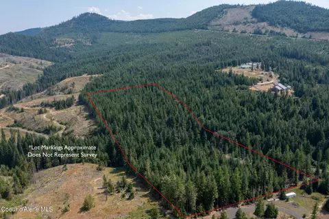 Nka Pettis Peak Road, Saint Maries, ID 83861