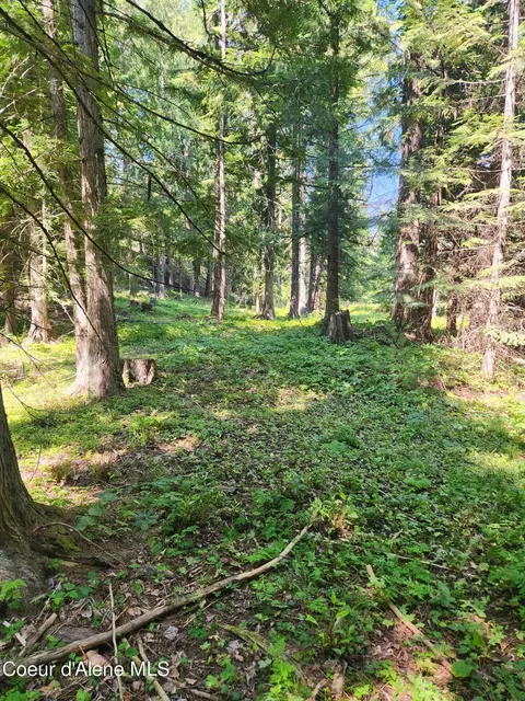 Reserve Ln, Sandpoint, ID 83864 photo 14