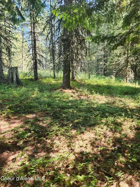 Reserve Ln, Sandpoint, ID 83864 photo 2