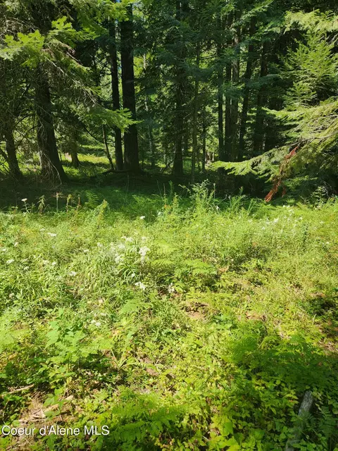 Reserve Ln, Sandpoint, ID 83864 photo 6
